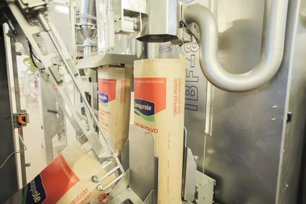 Exportaciones de lácteos: la leche en polvo entera es el producto más exportado desde Uruguay.