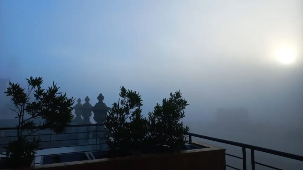 Fotografía tomada desde el piso 11 de Sinergia Ejido
