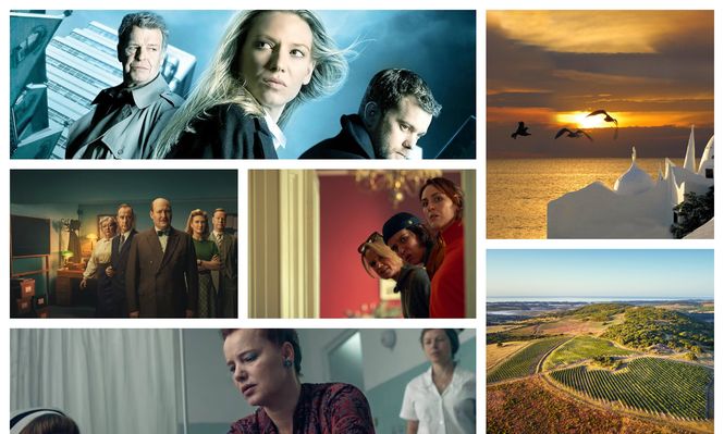 Los recomendados de Picnic de esta semana