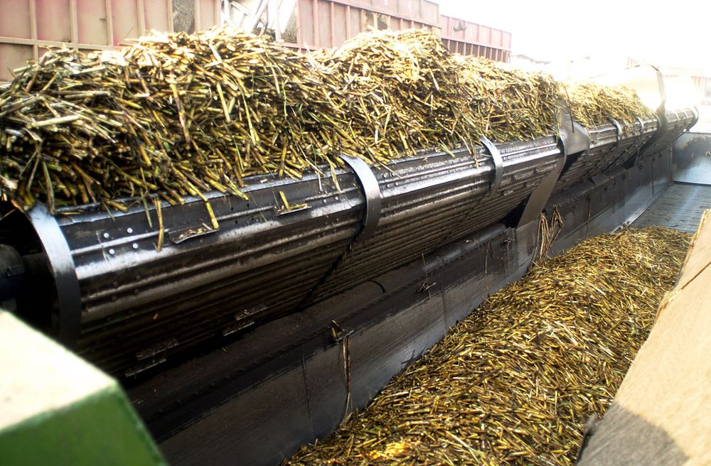 Exportaciones agroindustriales