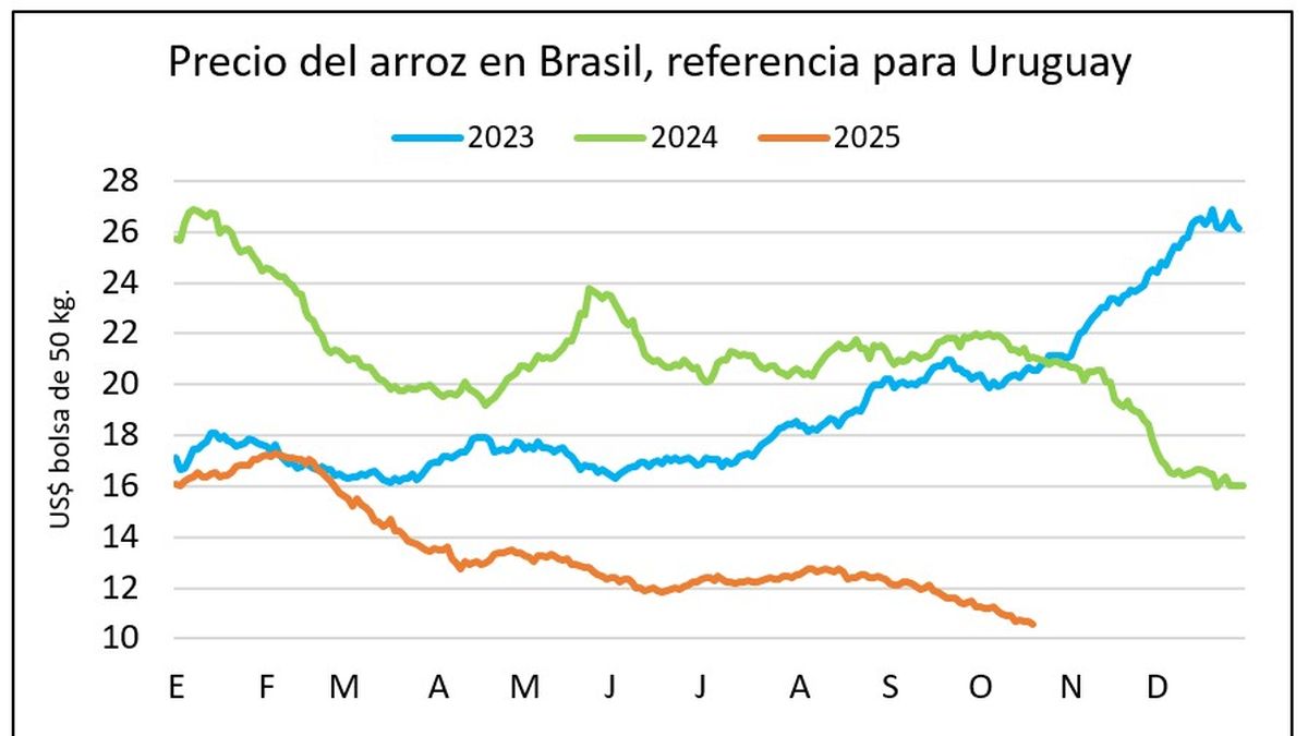 Soja y trigo cortan la racha bajista mientras el arroz se hunde