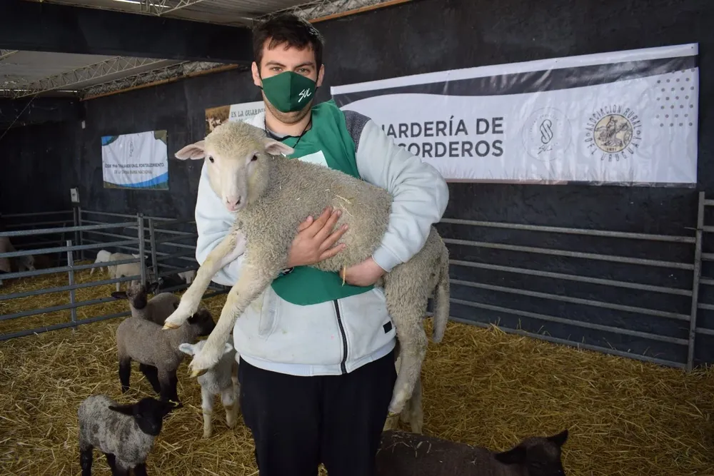 Bergessio, el cordero más buscado para las fotos en la Expo Prado.