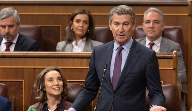 El presidente del PP, Alberto Núñez Feijóo, durante un pleno en el Congreso de los Diputados.