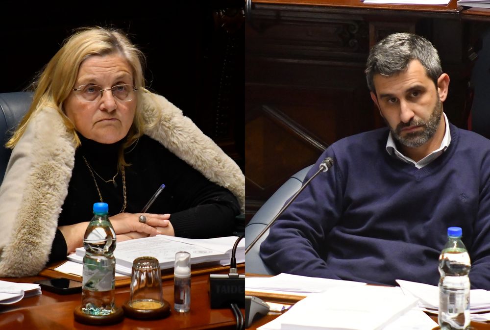 Graciela Bianchi y Daniel Caggiani&nbsp;