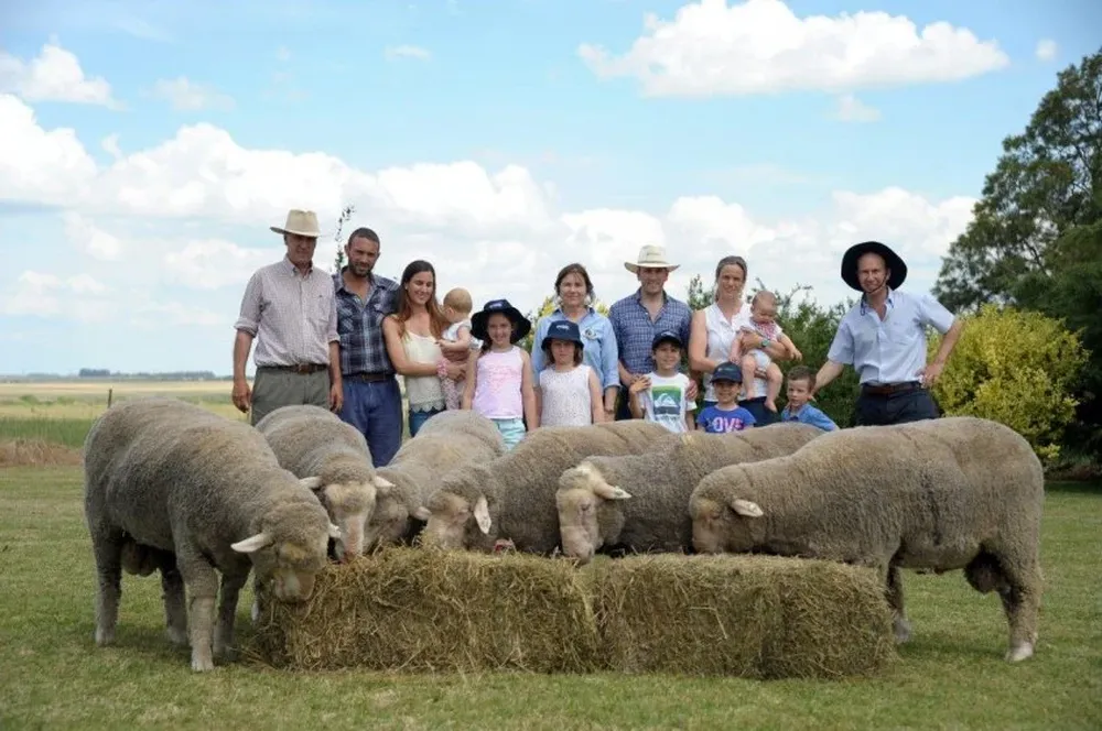 La familia Capurro fue la anfitriona de la jornada Merino Dohne en La Pastoral