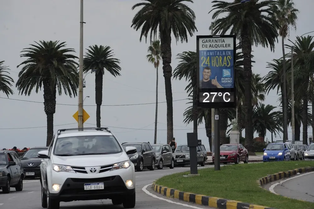 El mercado automotor cerró el primer semestre con un crecimiento de 2,5%.