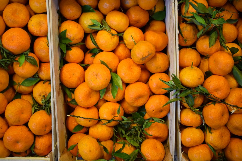 Frutas cítricas: mandarinas, naranjas y pomelos en la Lista Inteligente.