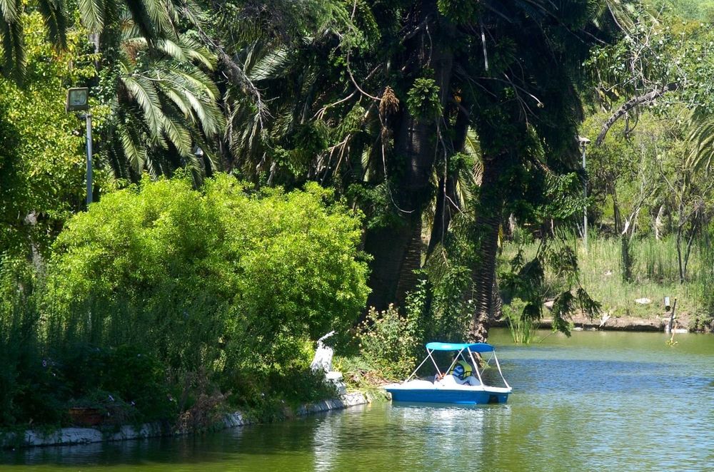 Parque Rodó Leo Carreño.jpg