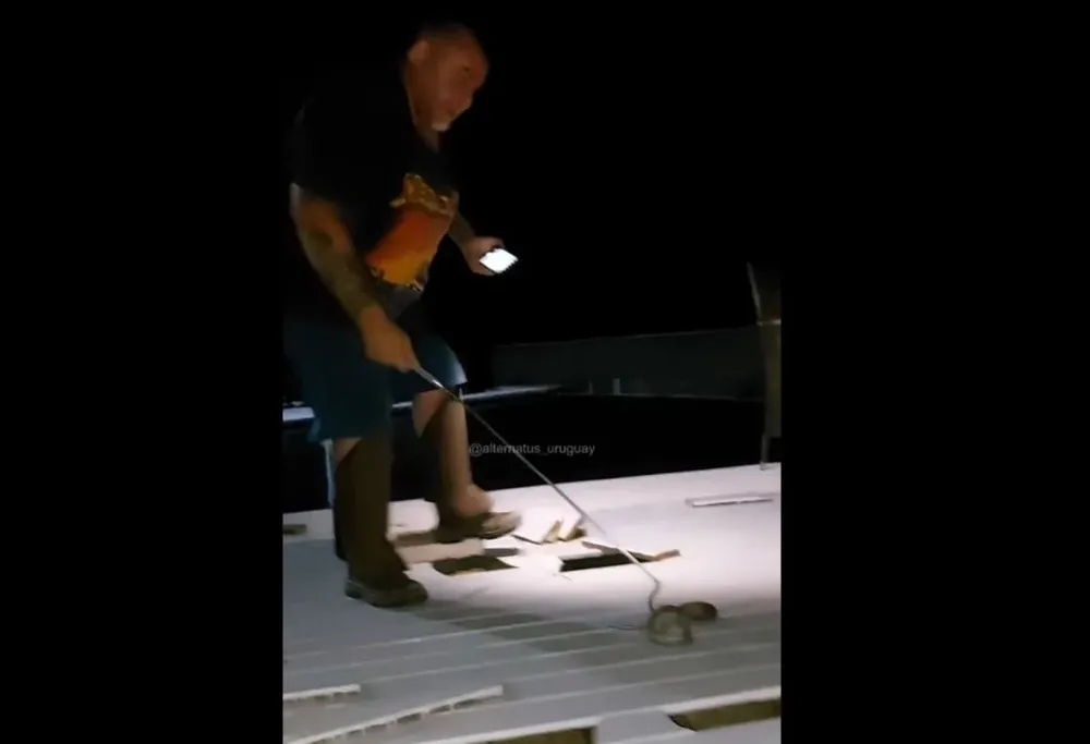 El rescate de la serpiente