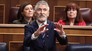 Fernando Grande-Marlaska