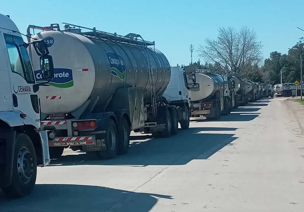 Se viene el anuncio de la suba en el precio de la leche.
