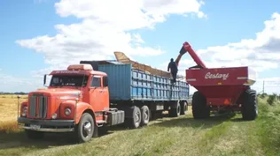 La zafra de soja arranca con un paro de los transportistas