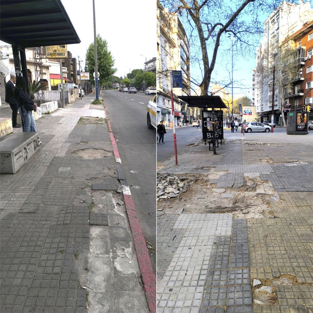 Veredas en Avenida Millán y Constituyente