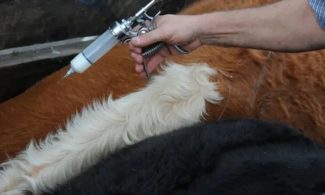 La sanidad animal se presenta con nuevos desafíos.