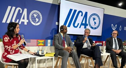 COP 29: Danielle Nierenberg, presidenta de Food Tank; Roland Royer, ministro de Agricultura, Pesca y Economía Azul y Verde de Dominica; Fernando Mattos,  ministro de Ganadería, Agricultura y Pesca de Uruguay; y Lloyd Day, Subdirector General del IICA.