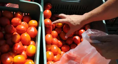 El Observador | 0016417965.webp