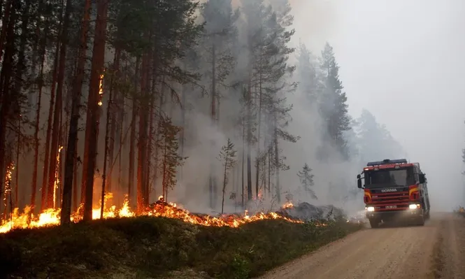 Los incendios forestales, un riesgo para las personas y la producción.