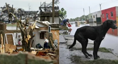 El Observador | 0007595291.webp