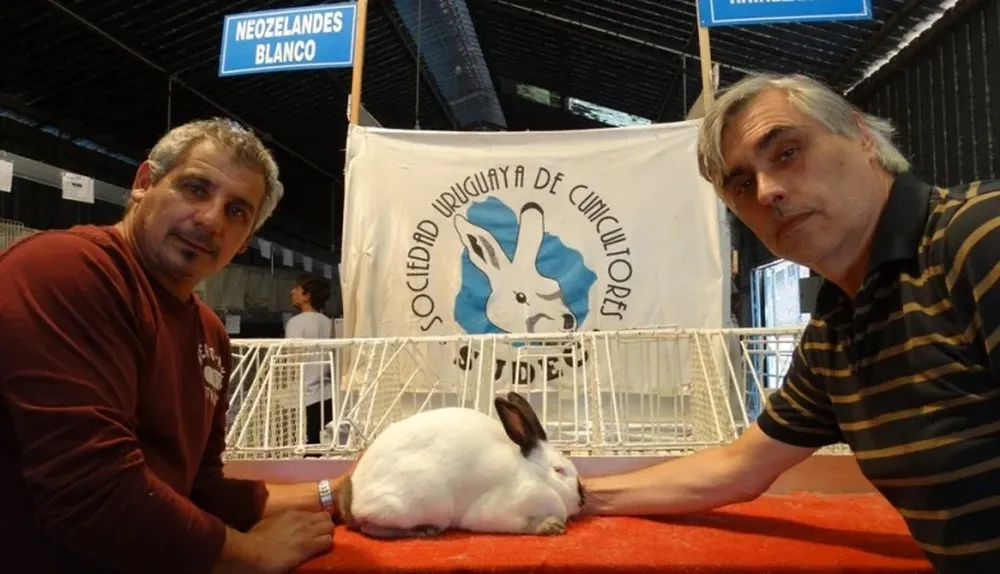 Gustavo Zícari, la coneja de los $ 100.000, y Nelson Pera