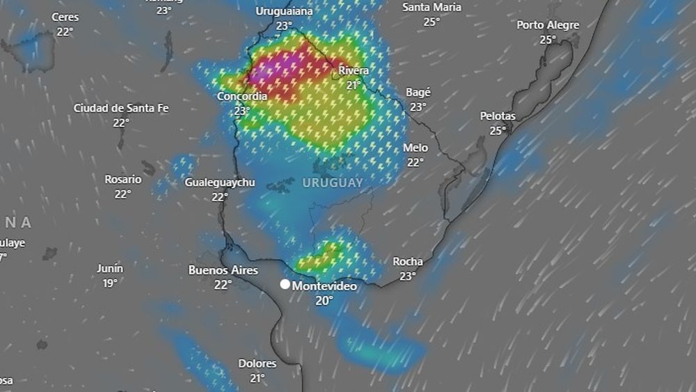 WhatsApp Image 2025-03-24 at 09.52.45.jpeg