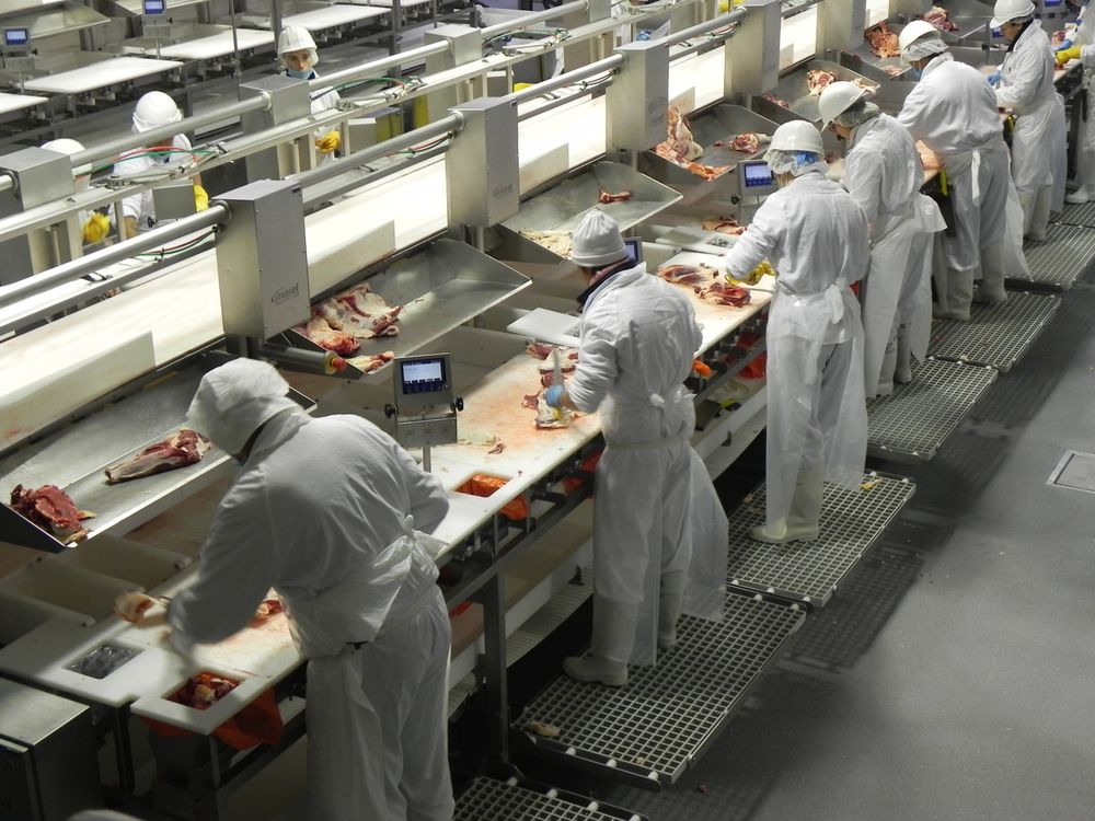 Carnes: con foco en todo lo exportado tras la acción del sector agroindustrial en Uruguay, se viene un récord.