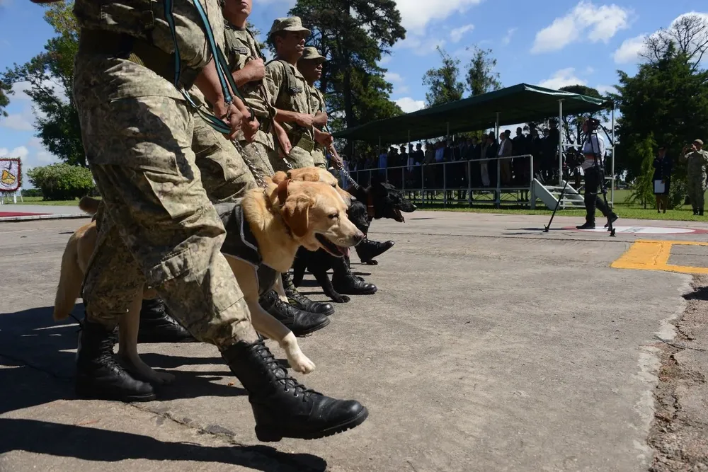 Archivo, desfile militar