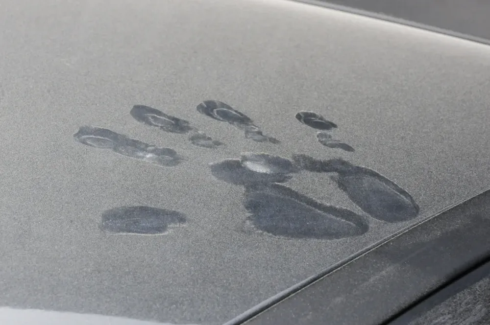 Los vuelos retoman de a poco su actividad