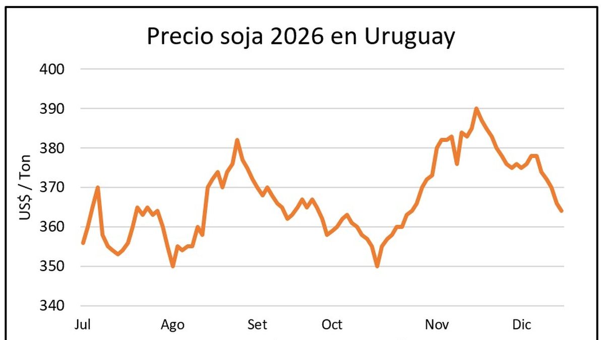 Granos de invierno: rindes superan las expectativas pero con los precios más bajos en 10 años