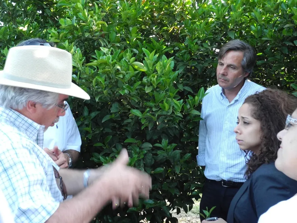 Los citrus reciben apoyo del gobierno