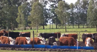 El Observador | 0000184029.webp