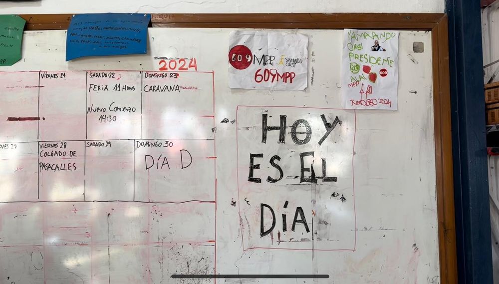 Este domingo 30 de junio se desarrollan las elecciones internas