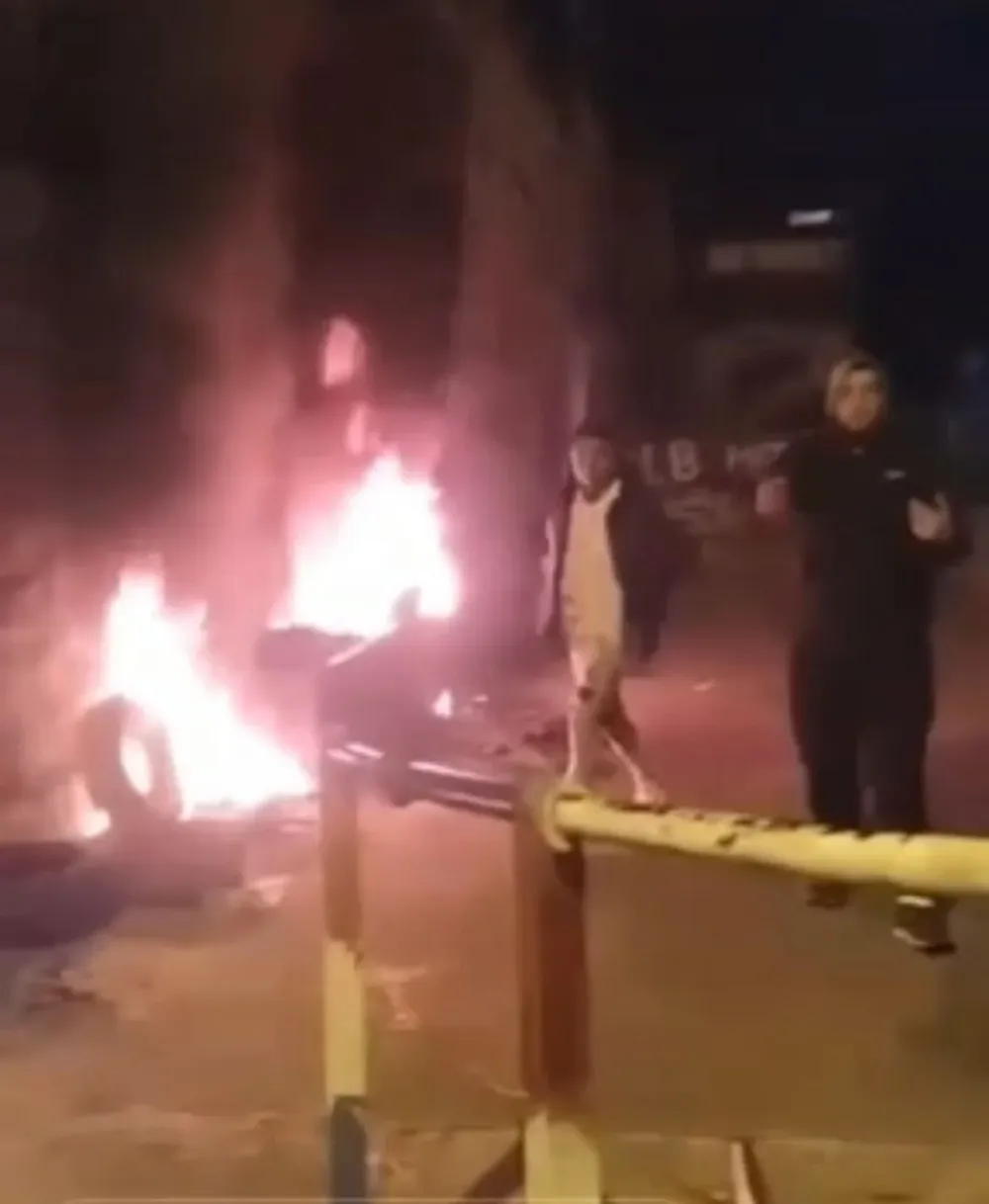 Imagen de la gallina viva incendiada