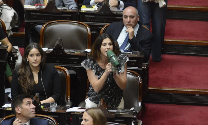 La diputada Marcela Pagano presentó un proyecto para controlar todo acuerdo financiero que el país realice con un organismo internacional.