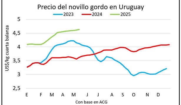 Mercado ganadero, por Blasina y Asociados.