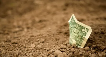 El Observador | 1686337575189.webp