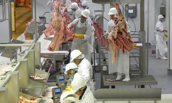 Carnes: las exportaciones del sector agroindustrial cárnico siguen siendo de alta relevancia para Uruguay.