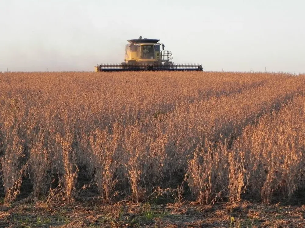 Protocolo con China sigue en el tapete de los operadores vinculados a la producción de soja