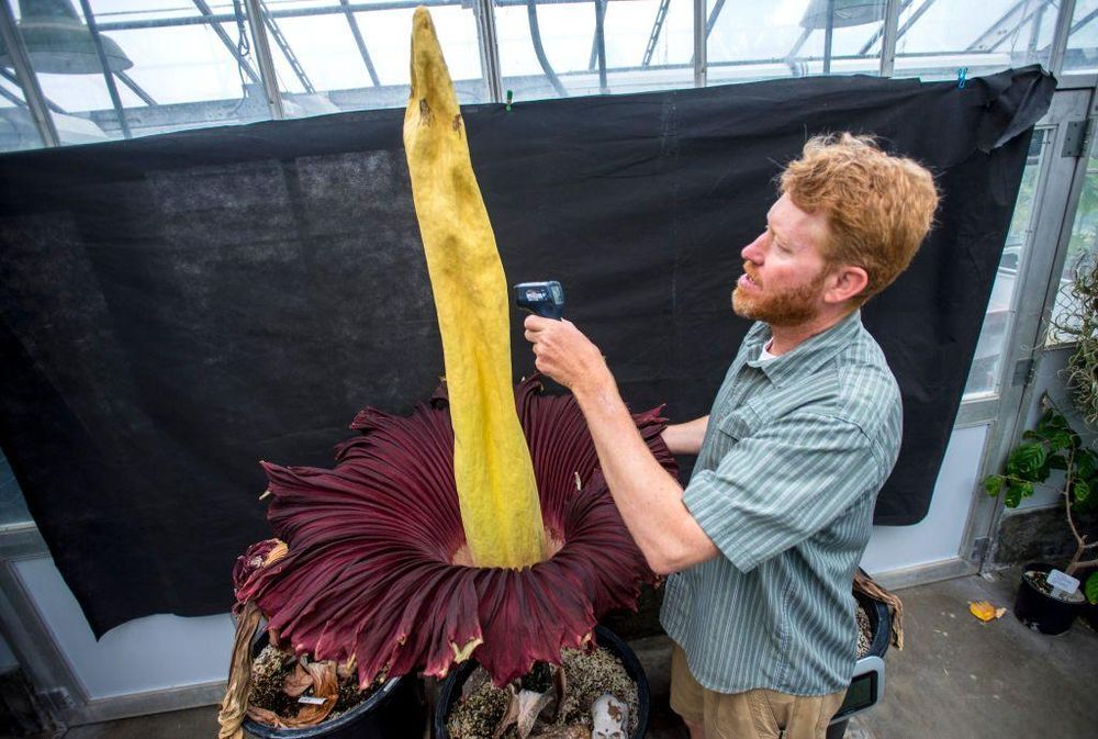 El Aro Gigante es capaz de aumentar su temperatura a niveles parecidos a los de un cuerpo humano
