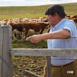 El recambio generacional preocupa a muchos sectores del agro.