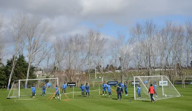 ¿Cómo mantienen las canchas de Los Céspedes en medio de la crisis sanitaria?