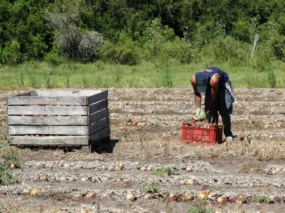 Los granjeros entienden que disponer de un instituto hará más eficiente la gestión.