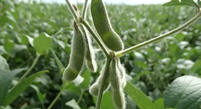 El Observador | 0025778242.webp