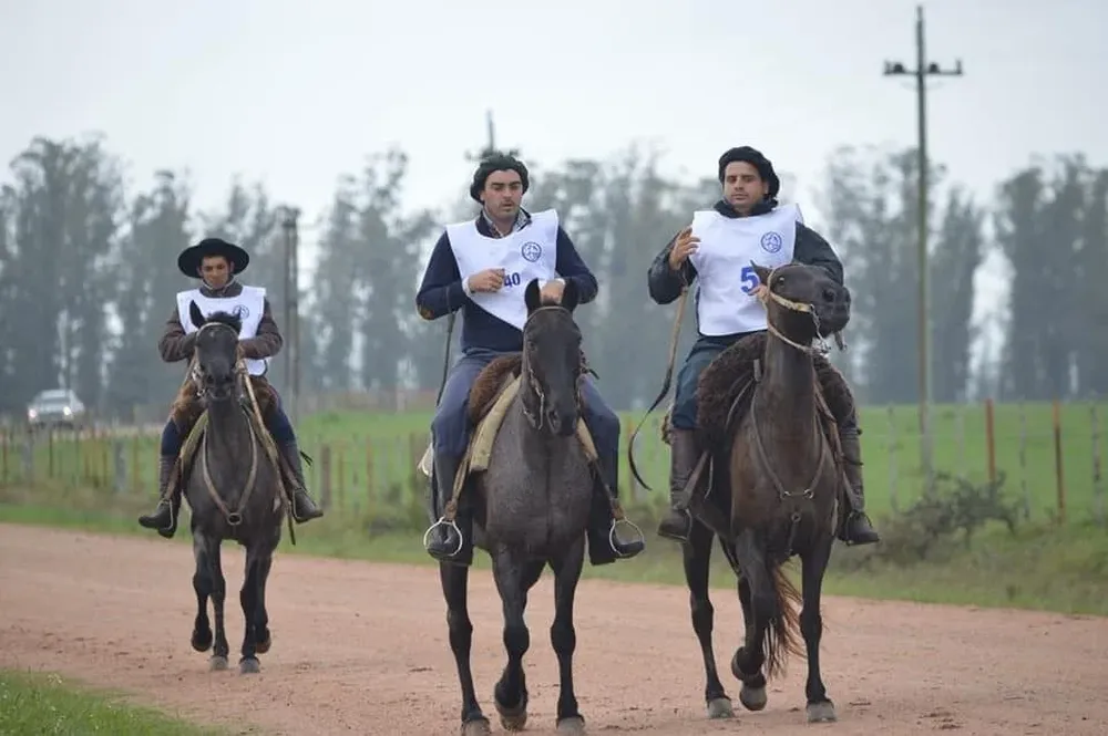 Desde las 11 de este sábado 22 se podrá revisar una oferta ganadora