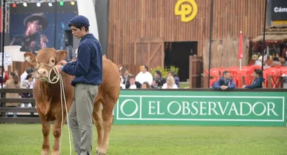El Observador | 0002071046.webp