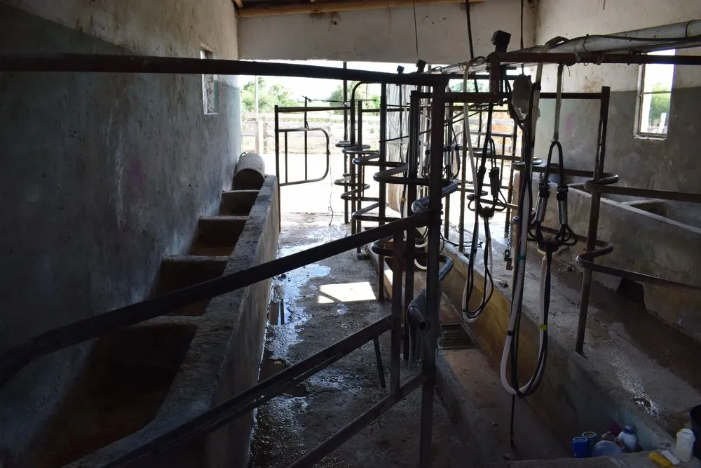 El precio de la leche es bueno, la remisión es récord, pero siguen cerrando tambos.