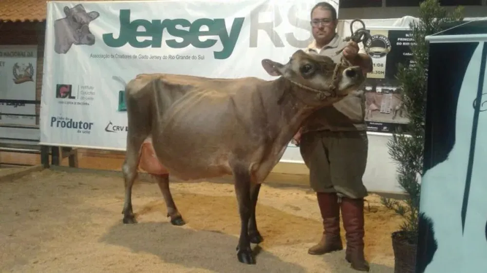 Reservada Campeona Adulta de Las Rosas y Miramont, expuesta en Expointer.