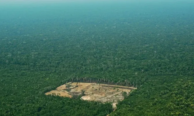 Deforestación en Amazonia