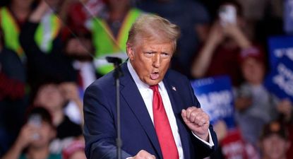 como ymca, la iconica cancion de village people, se convirtio en un improbable himno de donald trump