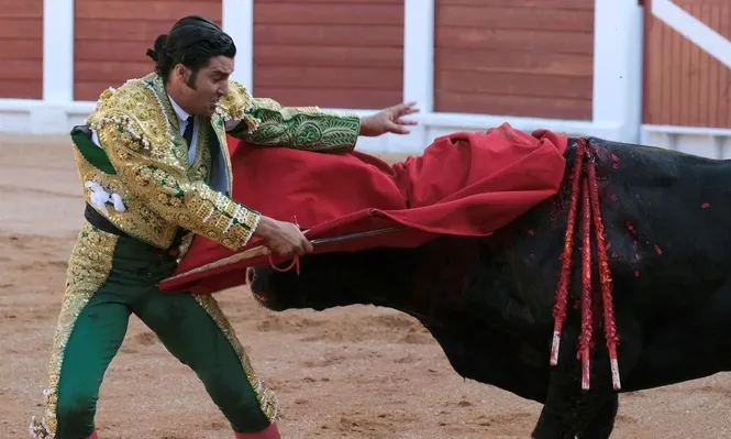 Corrida de toros
