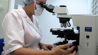 Profesión veterinaria.